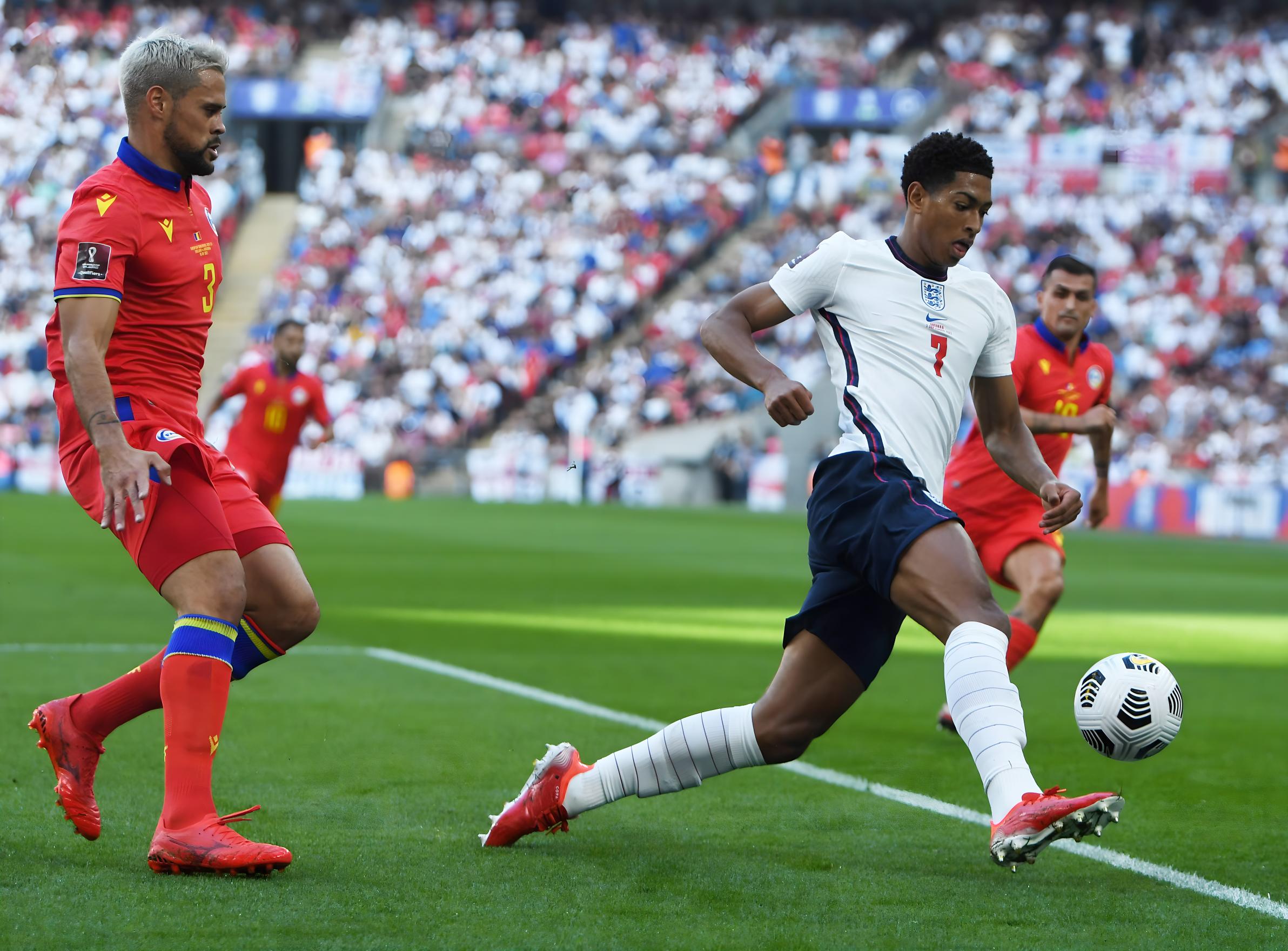 我就干脆多 我就干脆多