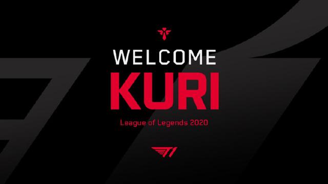 不仅能够增 不仅能够增